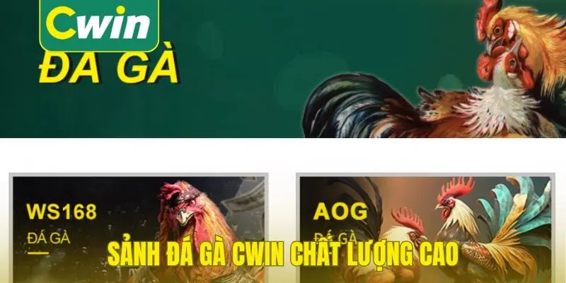Sảnh đá gà Cwin chất lượng cao